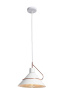 Светильник подвесной Freya Amis (Эмис) FR5025PL-01W