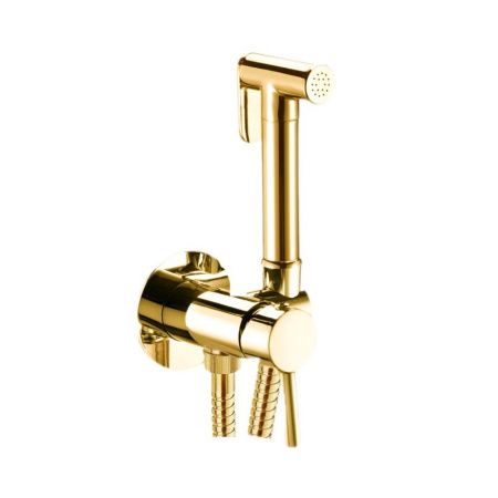 Гигиенический душ со смесителем Webert SE870303010 золото