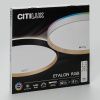 Светильник потолочный музыкальный Citilux Etalon (Еталон) CL750400R