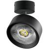 Светильник накладной Lightstar Alta Pro (Алта Про) A5747SO