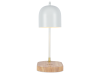 Настольная лампа Zortes DeskLight (ДескЛигхт) ZRS.1066.02