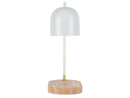 Настольная лампа Zortes DeskLight (ДескЛигхт) ZRS.1066.02