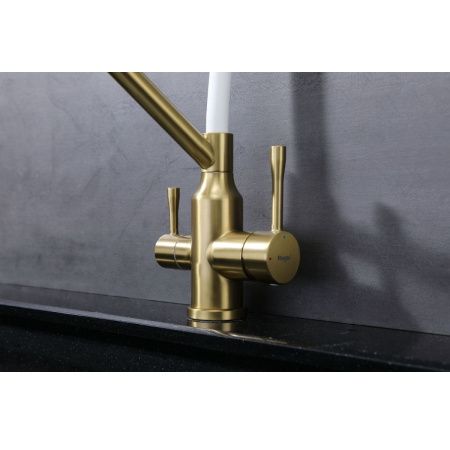 Смеситель для кухни Raglo R81 R81.62.03 на мойку золото