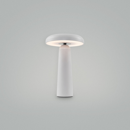 Настольная лампа Freya Mushroom (Гриб) FR6109TL-L4W