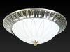 Светильник накладной Toplight Paulina (Паулина) TL5050Y-02AB