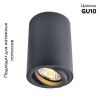 Светильник потолочный Arte Lamp Sentry (Сентры) A1560PL-1BK