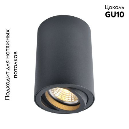 Светильник потолочный Arte Lamp Sentry (Сентры) A1560PL-1BK
