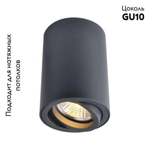 Светильник потолочный Arte Lamp Sentry (Сентры) A1560PL-1BK - фото 2