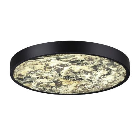 Настенно-потолочный светильник Odeon Light Bergi (Берги) 5064/40L