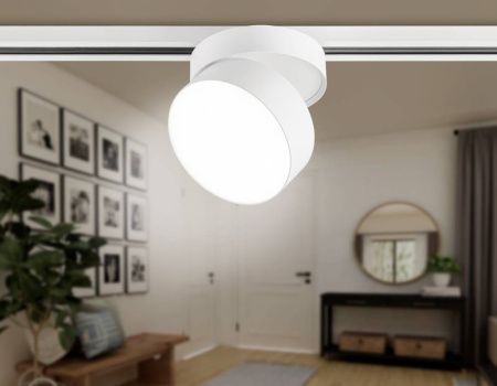 Трековый однофазный светильник Ambrella Light Track System (Трацк Сыстем) GL6875