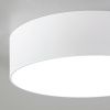 Светильник накладной Citilux Тао CL712120N