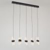 Светильник подвесной Delight Collection MD23001022-5B matt black