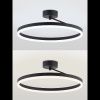 Люстра потолочная Natali Kovaltseva Finam (Финам) LED LAMPS 81121/2C