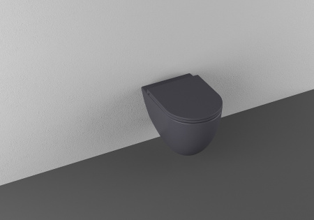 Чаша унитаза подвесная Allen Brau Reality 4.32006.AN цвет черный без сиденья безободковая каскадный смыв