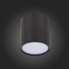 Светильник потолочный ST Luce Rene (Рене) ST113.442.05