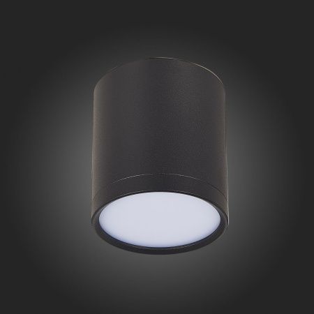 Светильник потолочный ST Luce Rene (Рене) ST113.442.05