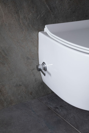 Чаша унитаза подвесная Allen Brau Fantasy 4.11HC1.20 цвет белый без сиденья безободковая каскадный смыв