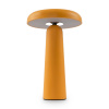 Настольная лампа аккумуляторная Freya Mushroom (Гриб) FR6109TL-L4OR