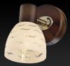 Спот Toplight Shayla (Схаыла) TL3730Y-01BB