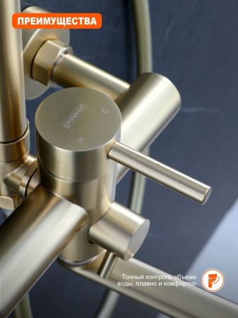 Душевая стойка ProHanss P31.24.03 настенная цвет золото