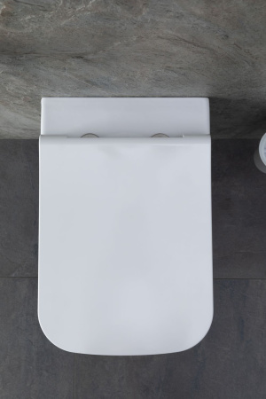 Чаша унитаза подвесная Allen Brau Infinity 4.21011.20 цвет белый без сиденья безободковая каскадный смыв