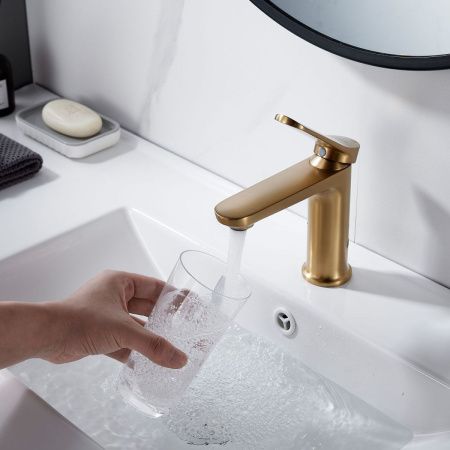 Смеситель Shevanik S43G S4301G на раковину золото