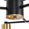 Люстра потолочная Arte Lamp Leo (Лео) A7027PL-6BK