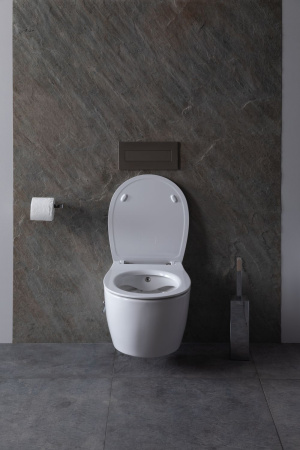 Чаша унитаза подвесная Allen Brau Fantasy 4.11HC1.20 цвет белый без сиденья безободковая каскадный смыв