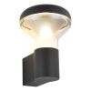 Уличный настенный светильник ST Luce Drop (Дроп) SL9541.701.01