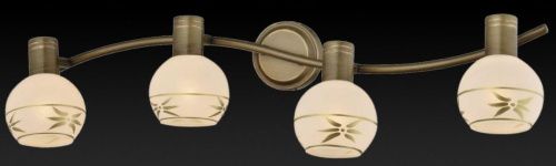 Спот Toplight Sharleen (Схарлеен) TL3790Y-04AB - фото 3