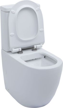 Чаша унитаза напольная Aquanet Cetus CETUS-C1 цвет белый без бачка с сиденьем микролифт безободковая каскадный смыв