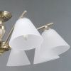 Люстра потолочная Illumico IL0900-8CSQ-26 AB ELITE