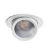 Спот Arte Lamp Cardani (Цардани) A1212PL-1WH