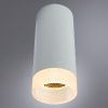Светильник накладной Arte Lamp Ogma (Огма) A5556PL-1WH