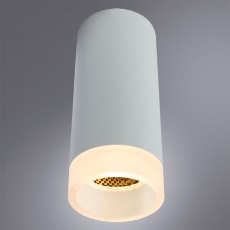 Светильник накладной Arte Lamp Ogma (Огма) A5556PL-1WH