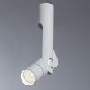Спот светодиодный Arte Lamp Orion (Орион) A2514PL-1WH