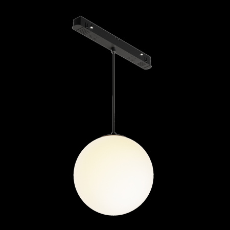 Трековый светильник Maytoni Technical Luna (Луна) TR039-2-5W3K