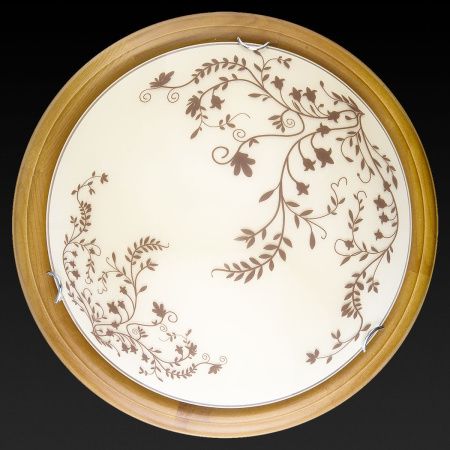 Светильник накладной Toplight Irene (Ирене) TL9630Y-00OA