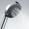 Душевая лейка Wasserkraft A032 цвет хром