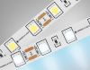 Светодиодная лента Ambrella Light illumination (иллуминатион) GS4003