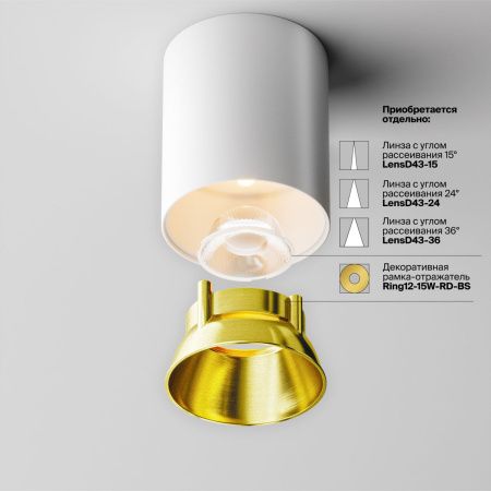 Светильник потолочный Maytoni Technical Alfa LED (Альфа) C064CL-12W3K-RD-WB