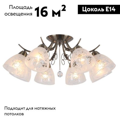 Люстра потолочная Omnilux Casagliana (Цасаглиана) OML-53807-08 - фото 2