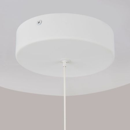 Светильник подвесной Wertmark Technical Ray Pendant P021PL-L10W