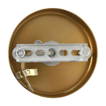 Люстра подвесная Lumion Chipsy (Цхипсы) 8320/5