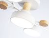 Люстра потолочная Ambrella Light LineTech (ЛинеТецх) FL4834