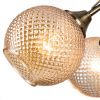 Люстра потолочная Arte Lamp Willow (Виллов) A3461PL-5AB