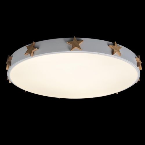 Светильник потолочный Loft It Axel 10006/36 White - фото 2