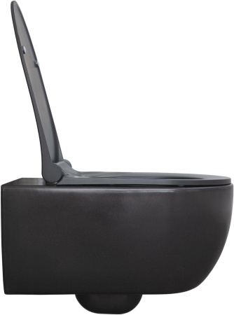 Чаша унитаза подвесная Allen Brau Priority 4.31001.AN цвет черный без сиденья безободковая каскадный смыв