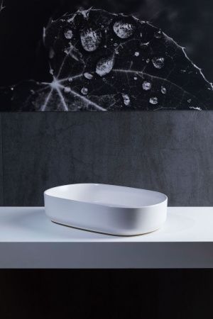 Раковина керамическая Allen Brau Fantasy 4.11022.21 60х40 накладная цвет белый без отверстий под смеситель