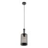 Светильник подвесной Myfar Edwin (Едвин) MR2464-1P